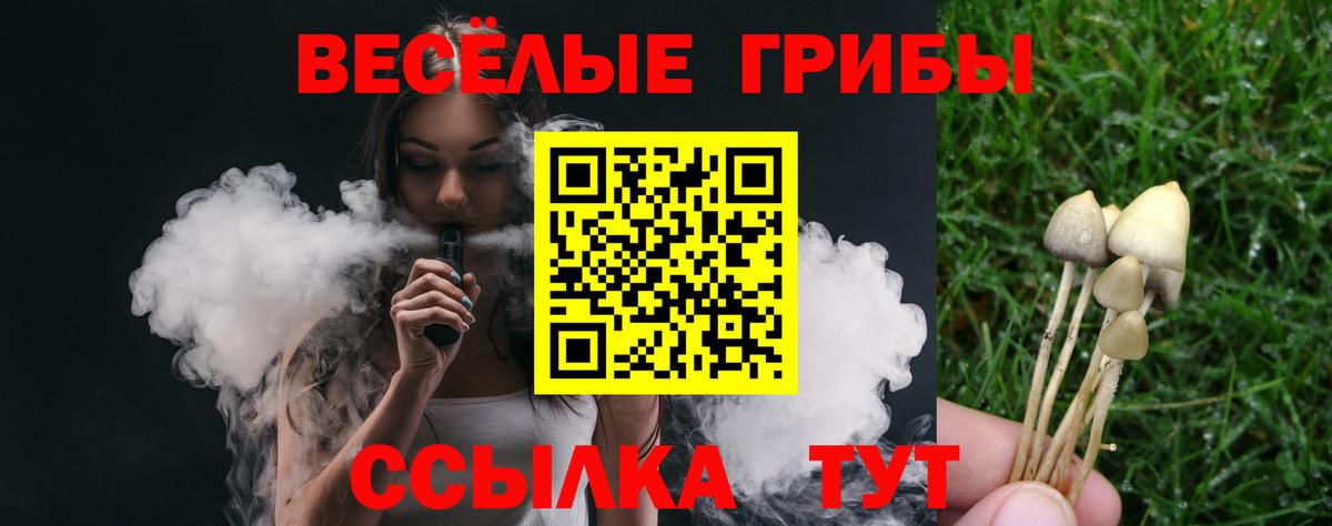 Фрязино  Галлюциногенные грибы ЛСД  Галлюциногенные грибы мицелий  Вход с VPN 