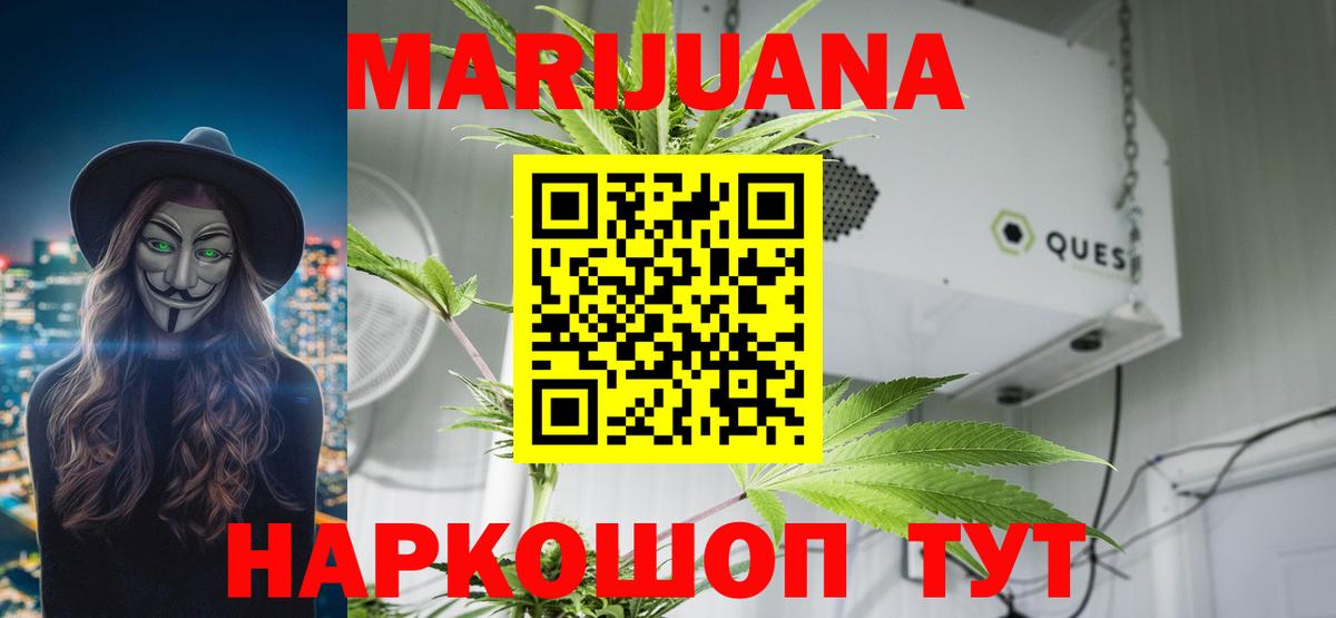 Шишки марихуана сатива Фрязино